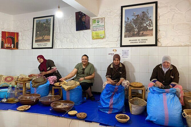 Ourika Day Trip from Marrakech Hidden Oasis and Berber Culture - Who Is This Tour Best For?