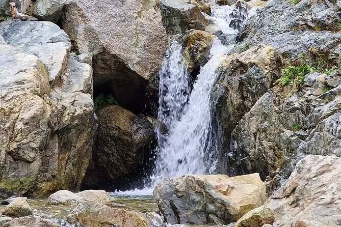 Ourika Day Trip from Marrakech Hidden Oasis and Berber Culture - FAQ