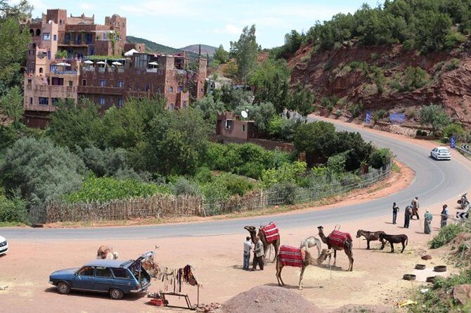 Ourika Marrakesh Day Trip - The Sum Up