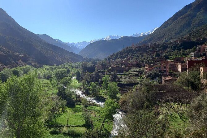 Ourika Valley and Atlas Mountains Day Trip - Who Will Love This Tour