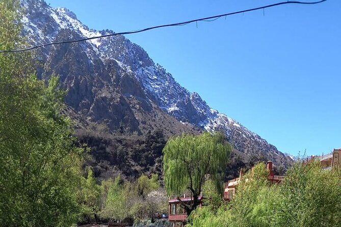 Ourika Valley and Atlas Mountains Day Trip - The Sum Up