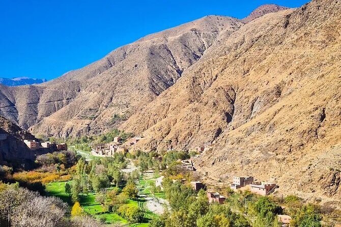 Ourika Valley and Atlas Mountains Day Trip From Marrakech - What Travelers Are Saying
