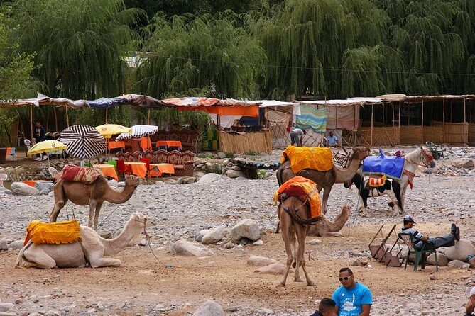 Ourika Valley and Atlas Mountains Full-Day Tour from Marrakech - The Sum Up