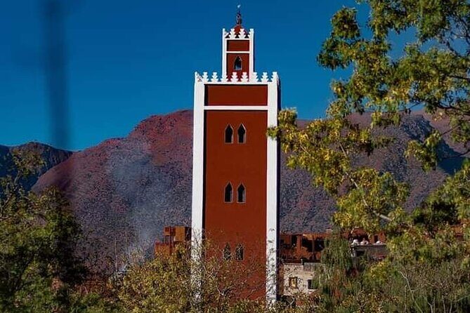 Ourika Valley and Berber Village Tour - An In-Depth Look at the Experience