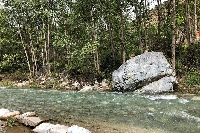 Ourika Valley and the Atlas Mountains in Private - The Sum Up: Is This Tour Worth It?
