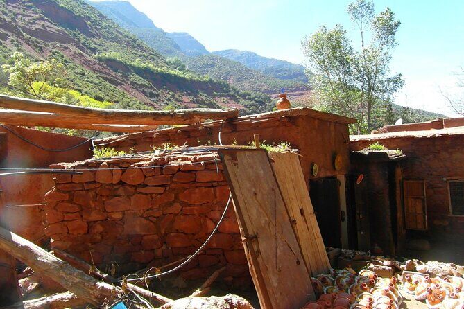Ourika Valley and the Berber Village Day Trip from Marrakech - The Experience of Setti Fatma and the 7 Cascades