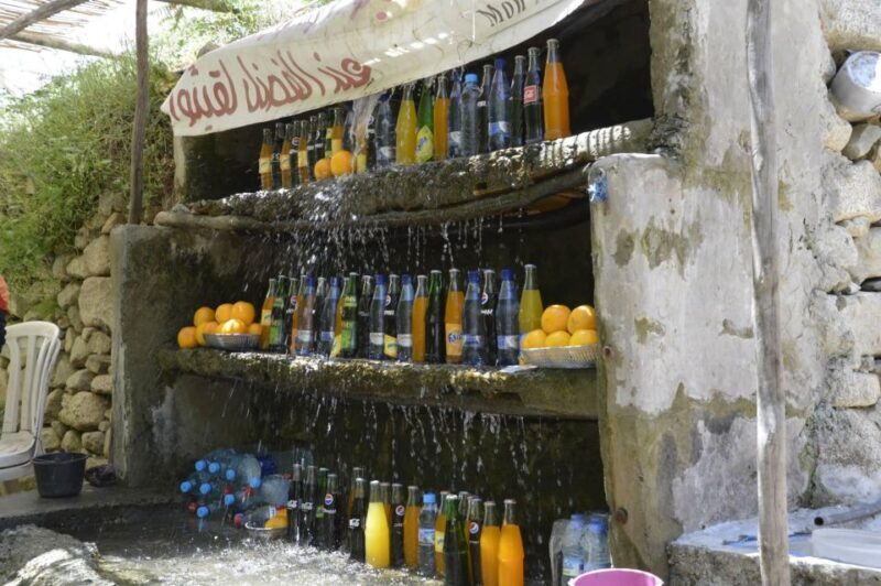 Ourika Valley and Waterfall Day trip From Marrakech - Key Points