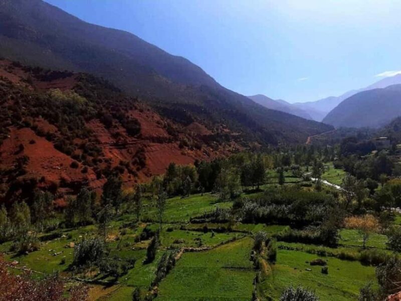 Ourika Valley, Atlas Mountain, Waterfalls - Final Thoughts: Is the Ourika Valley Tour Worth It?