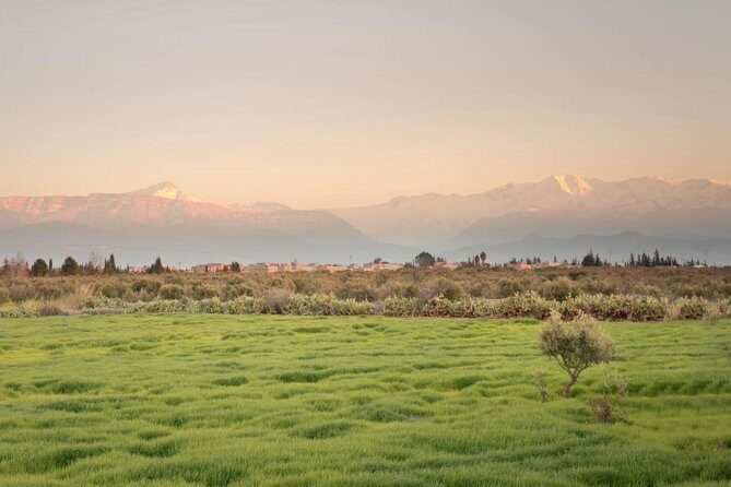 Ourika Valley : Atlas Mountains Day Trip from Marrakech - Overview of the Tour Experience