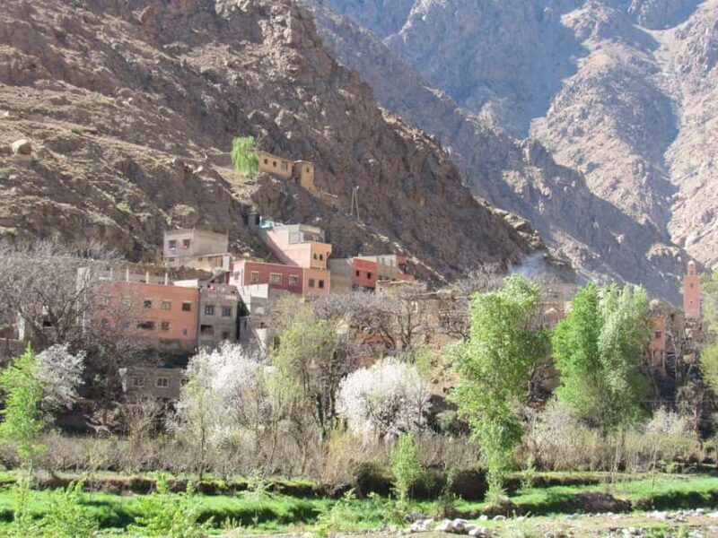 Ourika valley & atlas mountains guided tour from Marrakech - Key Points