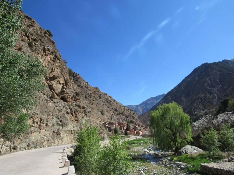 Ourika valley & atlas mountains guided tour from Marrakech - The Sum Up