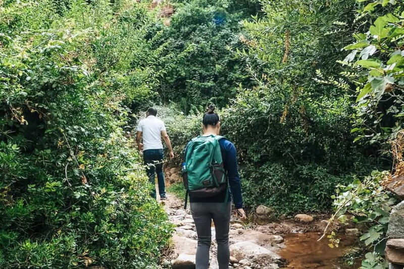 Ourika Valley, Atlas Mountains, Waterfalls & Guided Tour - A Detailed Look at the Ourika Valley Tour