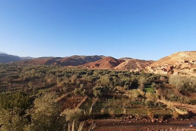 Ourika Valley Day Trip from Marrakech with Groups - Authentic Insights from Travelers