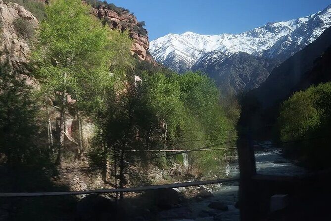 Ourika Valley Day Trip from Marrakech with Groups - Who Will Love This Experience?