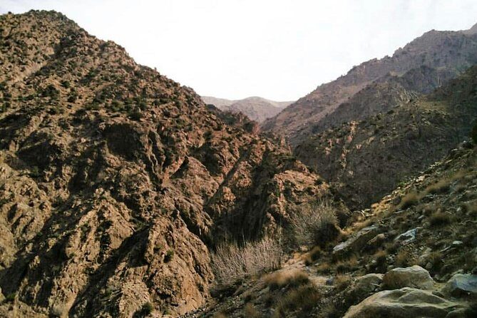 Ourika Valley Full Day Trip from Marrakech - Authentic Experiences That Stand Out