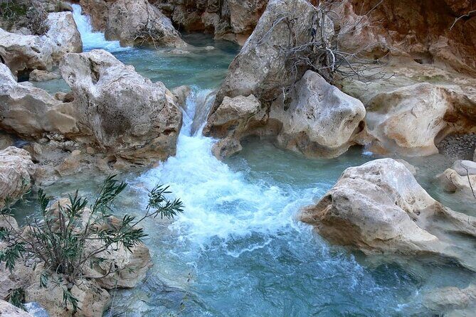 Ourika Valley Guided Day Trip from Marrakech - Price and Value Analysis