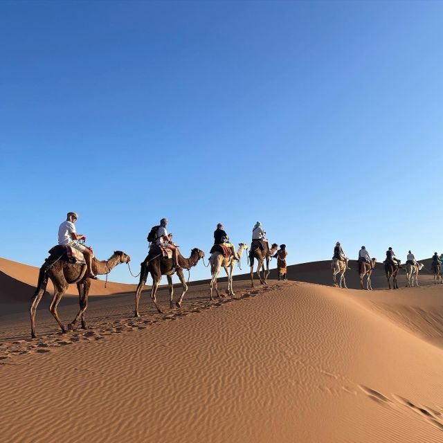 Ourika Valley: Hike, Waterfalls, Berber Villages - A Scenic Drive into the Heart of Morocco