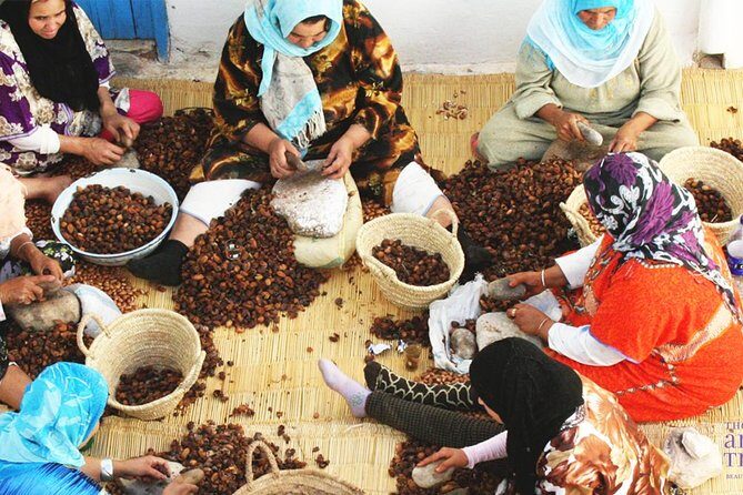 Ourika Valley - Private Day trip from Marrakech - Transportation and Timing: Why They Matter