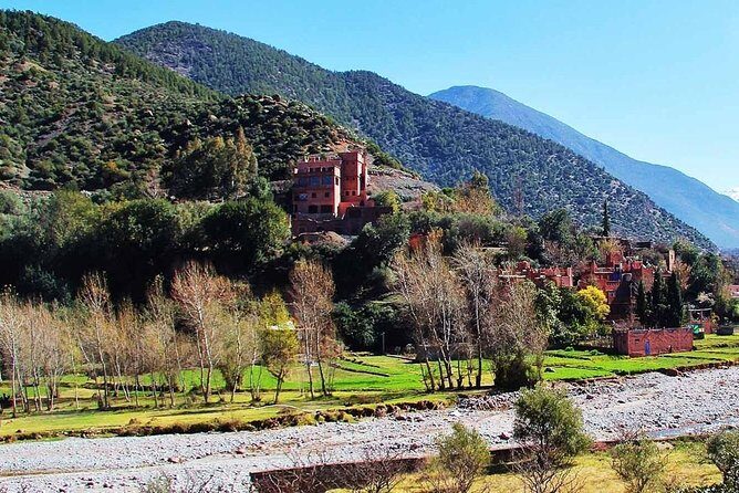 Ourika Valley - Private Day trip from Marrakech - The Value of a Private Tour