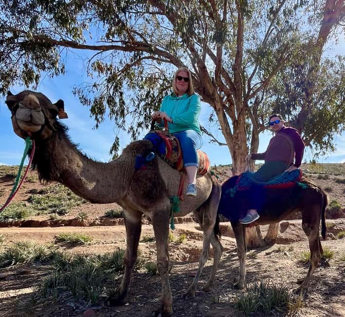 Ourika Valley Private Trip: Lunch, Guide, & Camel Ride - Who Will Love This Tour?