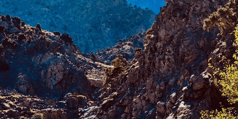 Ourika Valley: Quad Biking,Camel Riding,and Hiking Adventure - Thrilling Activities: Quad Biking and Camel Rides