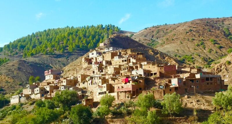 Ourika Valley with Atlas Mountains Day Trip from Marrakech - Key Points