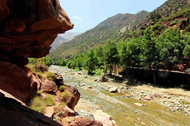 Ourika Valley with Atlas Mountains Day Trip from Marrakech - Real Traveler Insights: Authentic Experiences