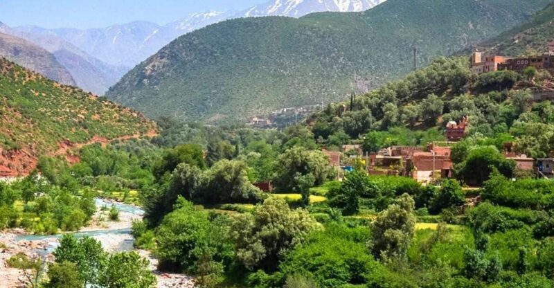 Ourika Valley with Atlas Mountains Day Trip from Marrakech - Practical Tips for Your Day Trip