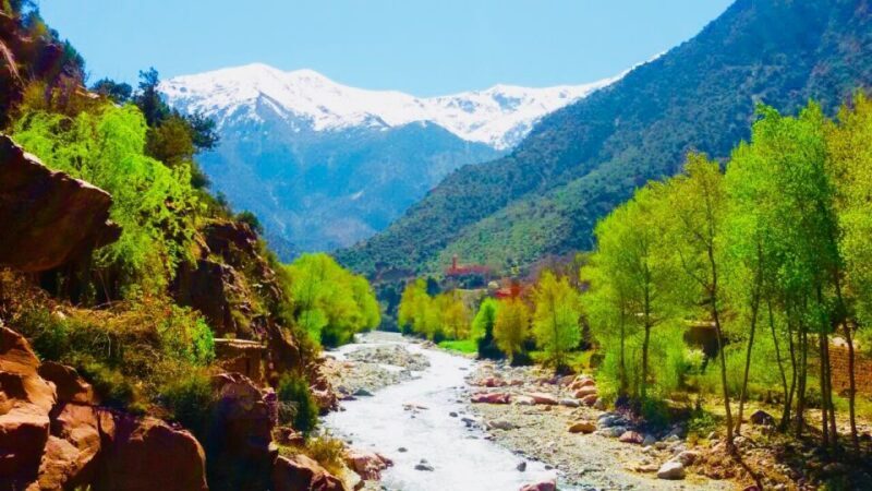 Ourika Valley with Atlas Mountains Day Trip from Marrakech - The Sum Up: Is This Tour Worth It?
