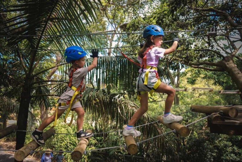 Ourimbah: Central Coast Junior Tree Ropes Course - Exploring the Ourimbah Junior Tree Ropes Course