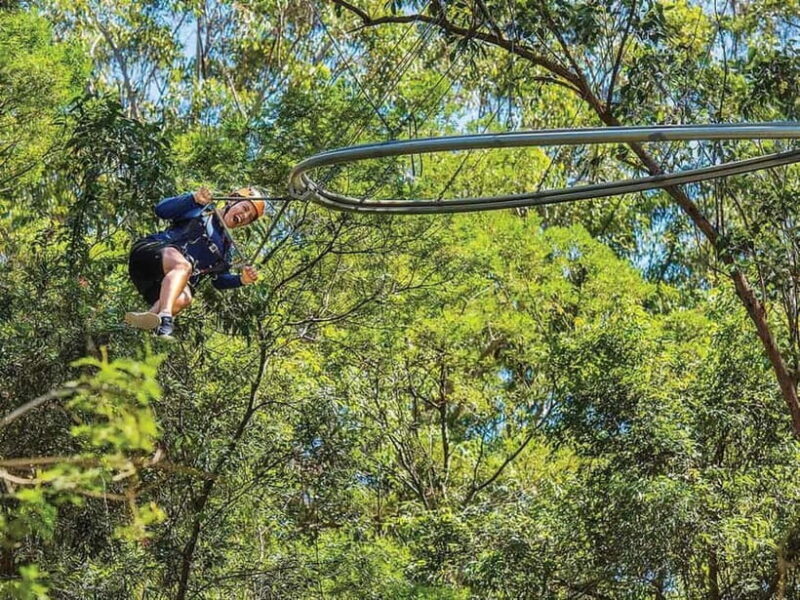 Ourimbah: Central Coast Zipcoaster - Key Points  