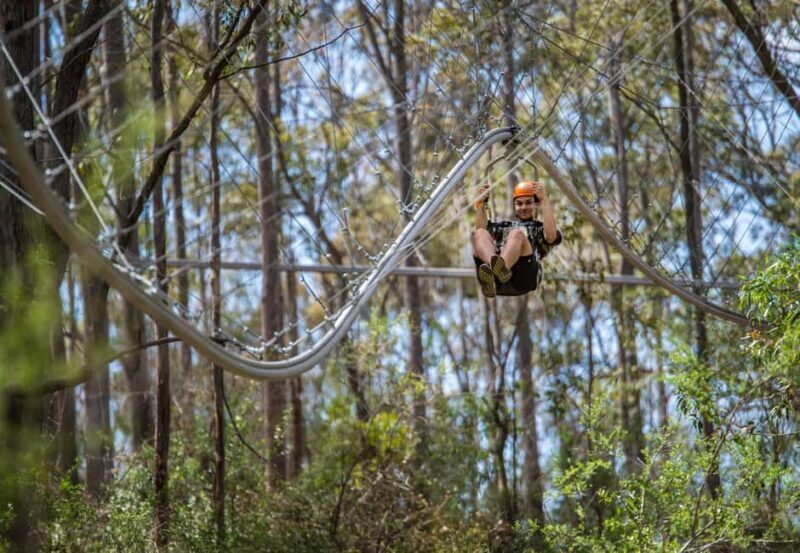 Ourimbah: Central Coast Zipcoaster - The Guides and Safety Measures