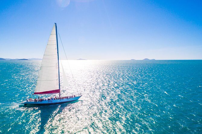 Outer Great Barrier Reef Snorkel Adventure in Airlie Beach - Food and Beverage Offerings