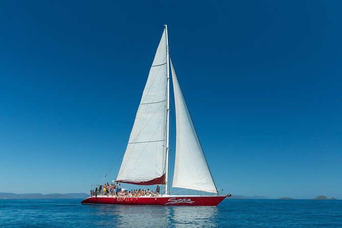 Outer Great Barrier Reef Snorkel Adventure in Airlie Beach - Who Will Love This Tour?