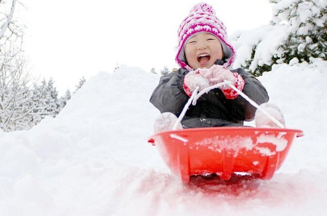 Outskirts of the city Mt Rokko Snow Trip - An In-Depth Look at the Mt Rokko Snow Trip