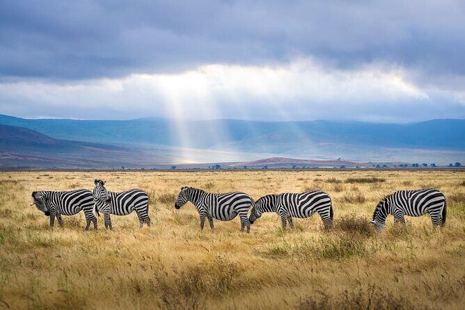 Outstanding day trip to Tarangire National Park - A Closer Look at the Itinerary