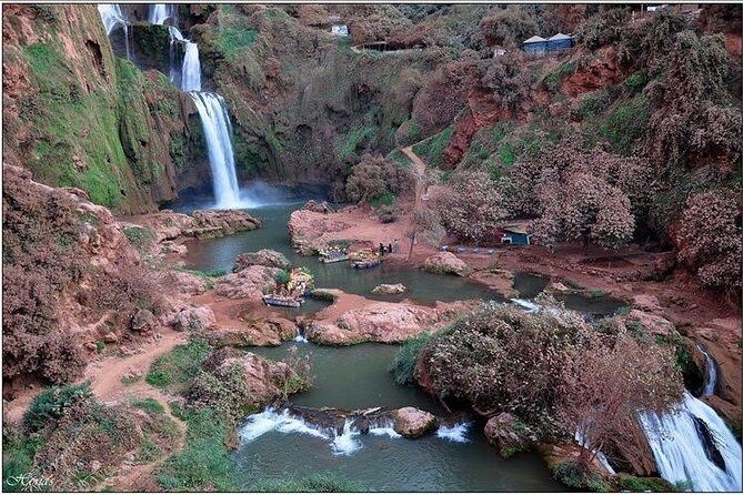 Ouzoud Falls Private Day Trip From Marrakech - Lunch and Cultural Experiences  