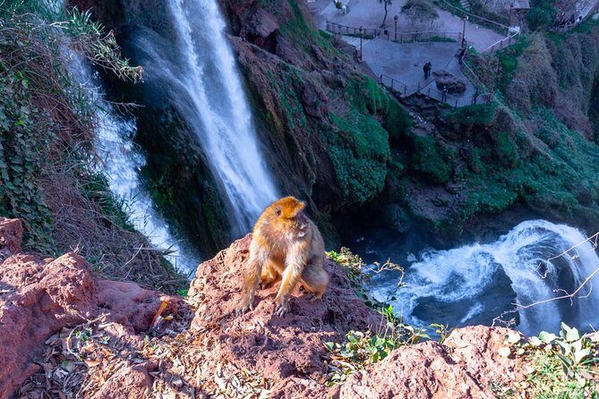 ouzoud watefalls and Iminifri Natural Bridge - Authentic Experiences and Tips from Travelers