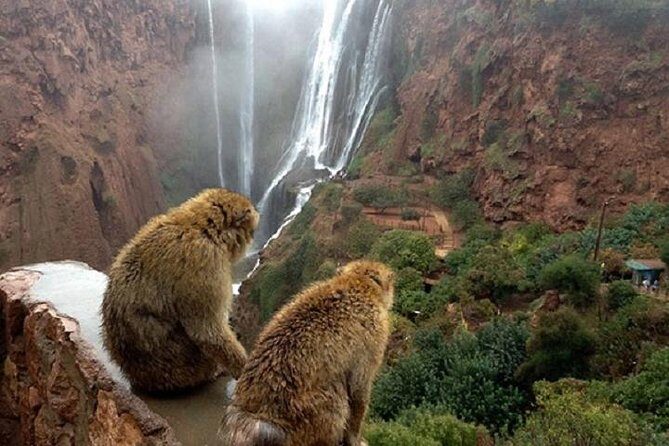 Ouzoud WaterFalls - How the Tour Is Structured