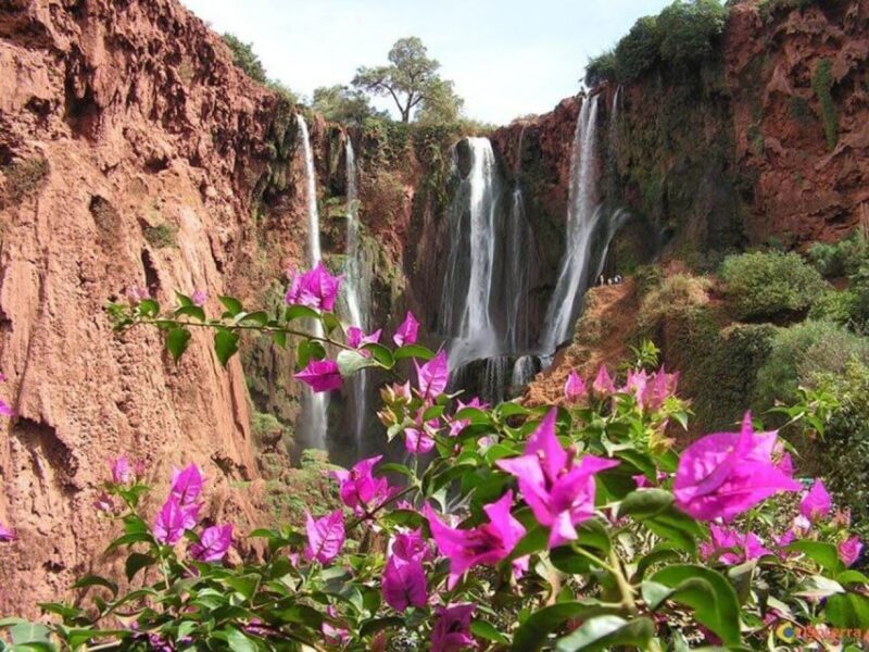 Ouzoud Waterfalls Day Trip - Final Thoughts: Is This Tour Right for You?