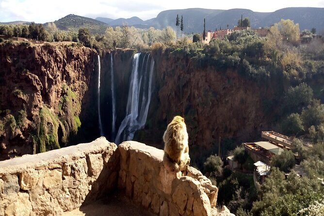 Ouzoud Waterfalls Full Day Trip From Marrakech - Final Thoughts on Value and Who Will Love This Tour