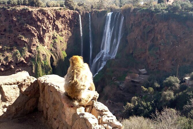 Ouzoud Waterfalls Full Day Trip From Marrakech - FAQ