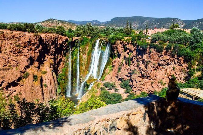 Ouzoud Waterfalls Guided Day Trip from Marrakech - Key Points