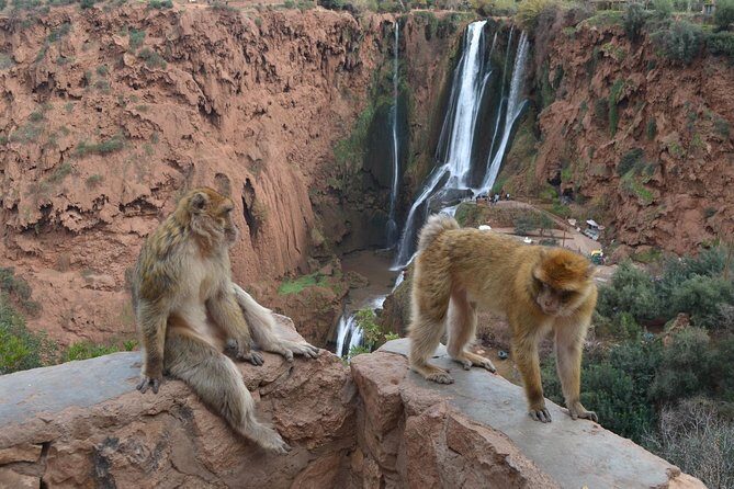 Ouzoud Waterfull - Day Trip from Marrakech - The Journey to Ouzoud Waterfalls: A Scenic Ride Out of Marrakech