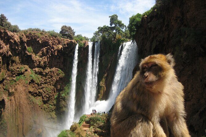 Ouzoud Waterfull - Day Trip from Marrakech - Who Should Consider This Tour?