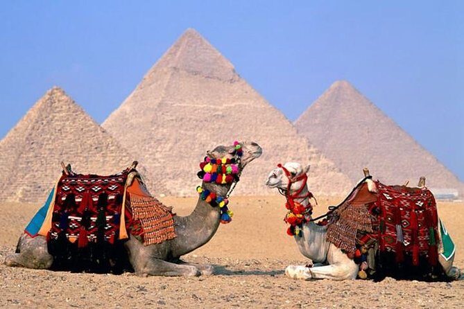 Over Day Cairo by Bus Pyramids and Museum from Sharm el Sheikh - Final Thoughts: Is It Worth It?
