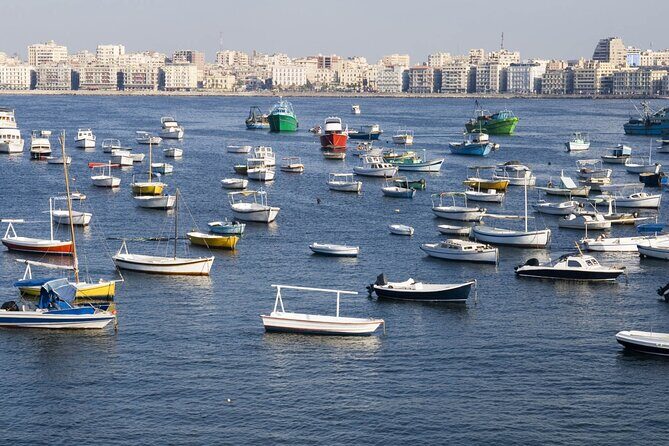Over Day Trip to Alexandria from Cairo - A Detailed Look at the Alexandria Day Trip