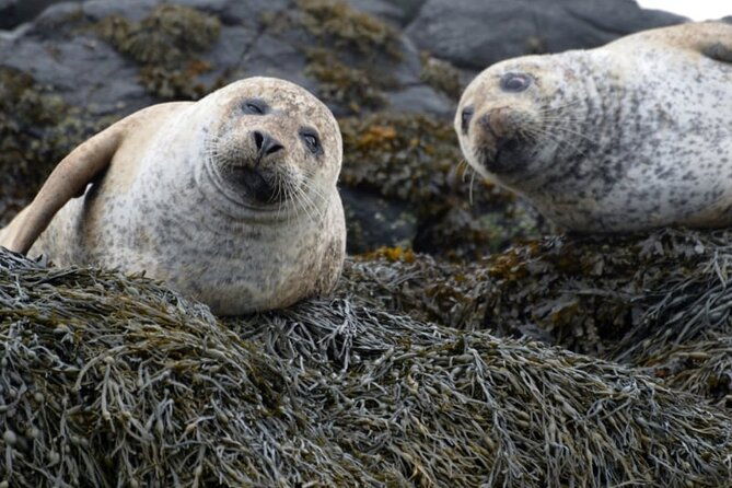 over-the-sea-to-secret-skye