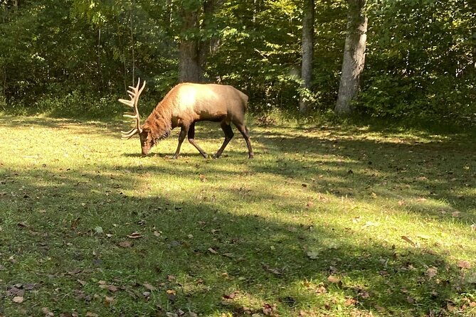 over-the-top-tour-in-oconaluftee
