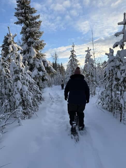 Överkalix: Full-Day Snowshoeing Tour with Outdoor Lunch - Exploring the Full-Day Snowshoeing Tour in Överkalix